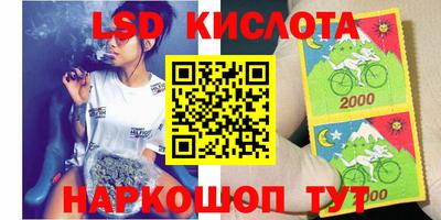 шишки Краснодар