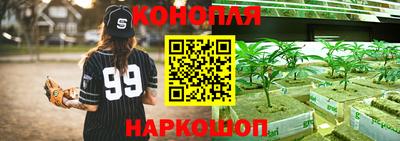 гидра Краснокаменск