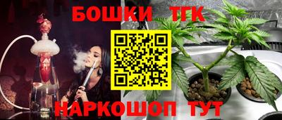 шишки Краснодар