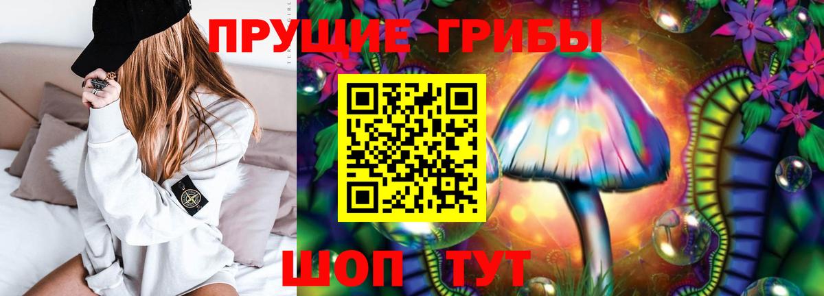 Галлюциногенные грибы MAGIC MUSHROOMS  Вход с VPN  как найти закладки  Конаково 